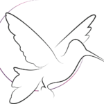 Hummingbird_Ifuture